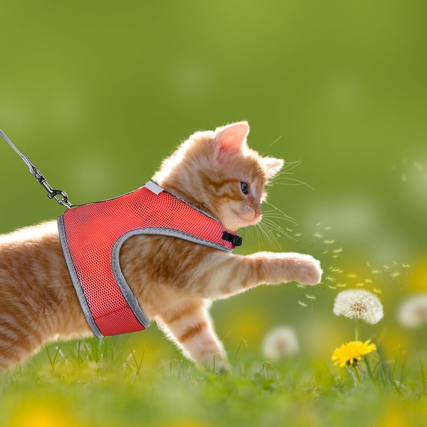 Dokeno Cat Harness, Cat Vest with Lead, Escape Proof Dog Harness, Pet Chest Strap, Universal Soft Harness, Rabbit Lead, Safety Harness for Kittens, Rabbits, Small Pets, Blue image number 6