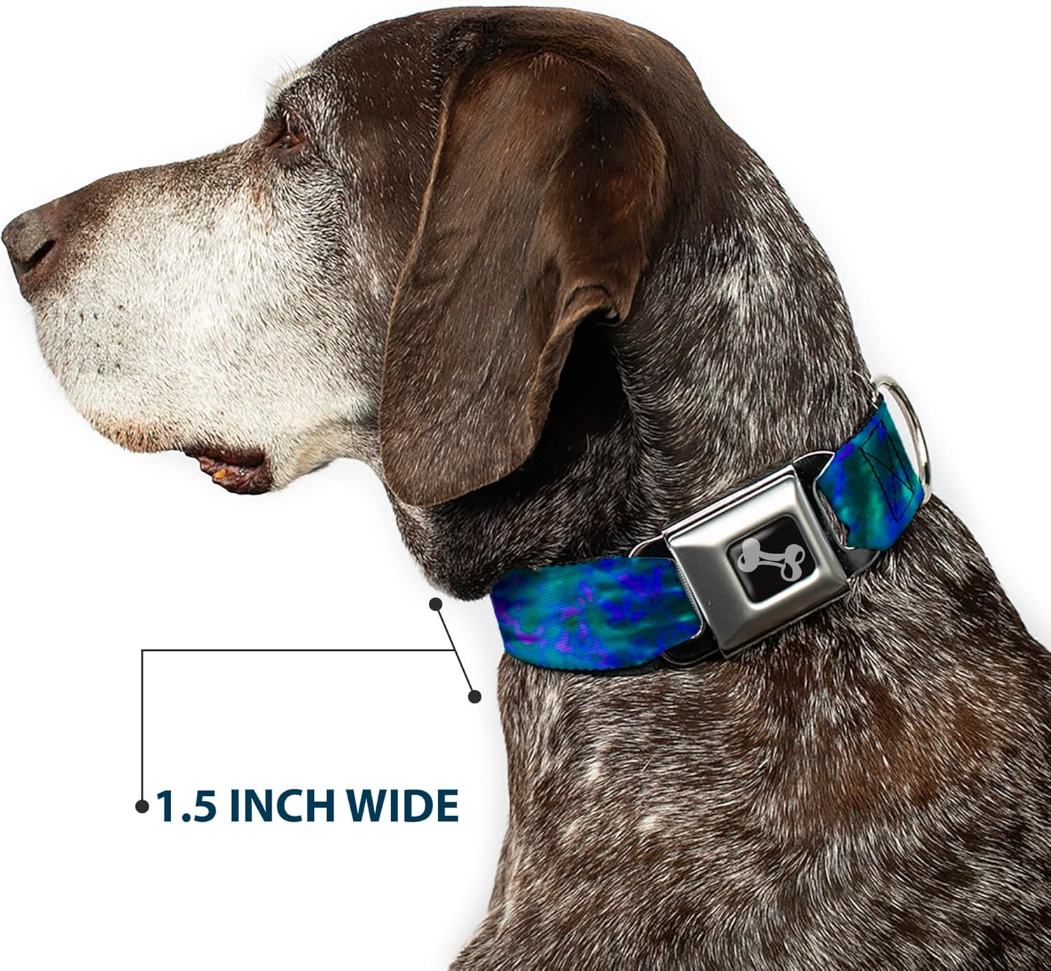 Buckle-Down Seatbelt Buckle Dog Collar - Tie Dye Green/Blue/Purple - 1" Wide - Fits 15-26" Neck - Large