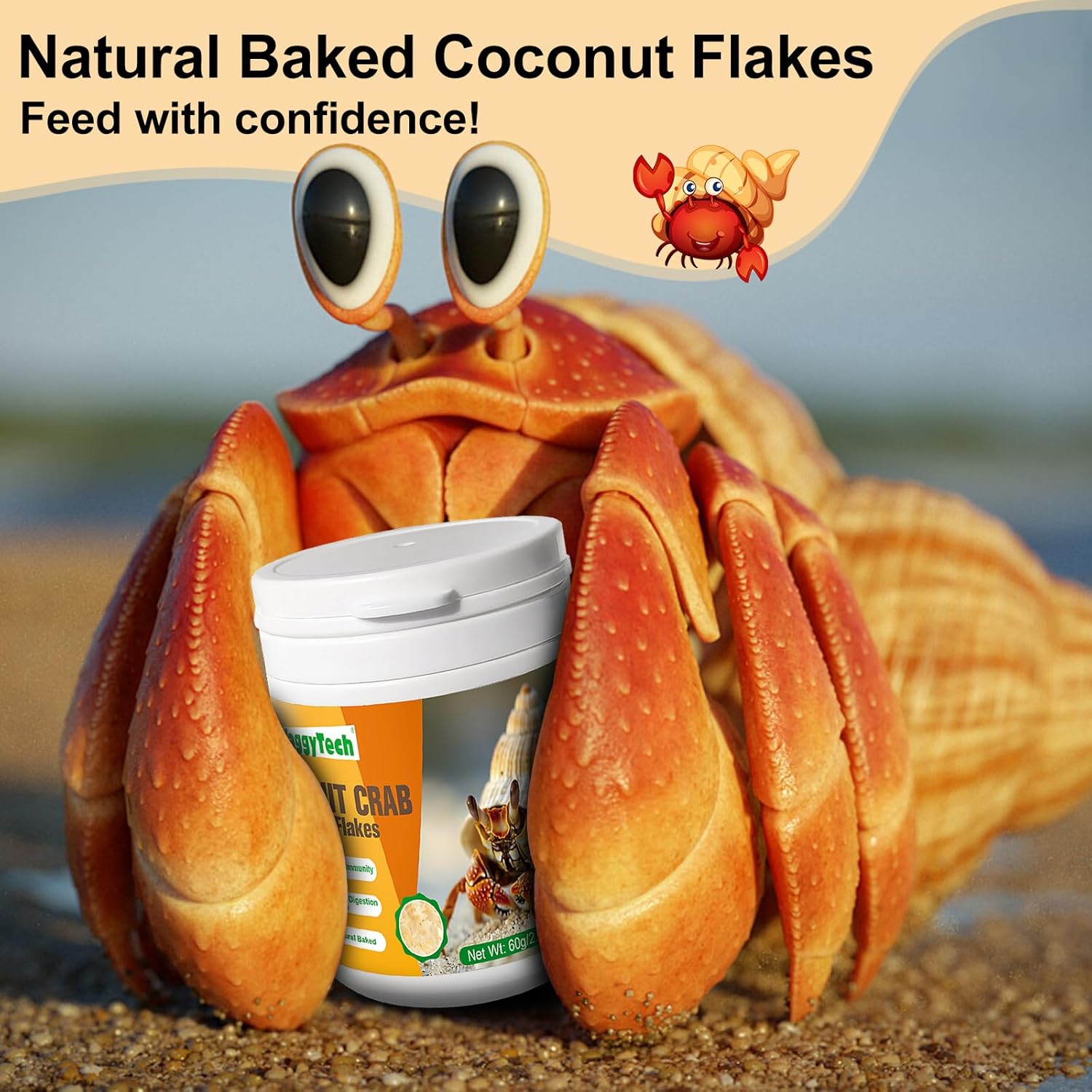 Hermit Crab Food - Baked Coconut Treat, Natural Dried Coconut for Crab Healthy & Additive Free, Easily Digestible Hermit Food Hermit - Ideal Crab Pet Snacks, Crispy & Delicious | 60G (Large) image number 6
