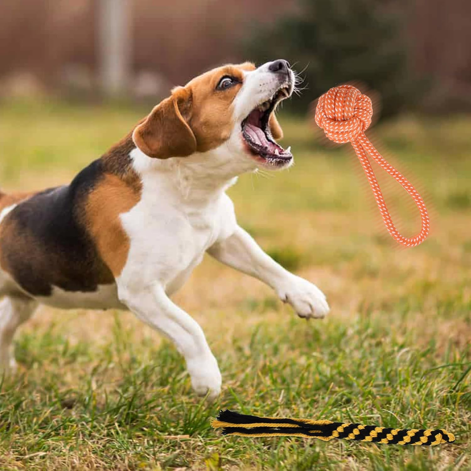 DEARBAG Dog Stimulator Toy, Dog Toy Extendable, Telescopic Rod with Dog Rope Toy, Interactive Dog Toy for Large Dogs, Medium Dogs and Small Dogs image number 5