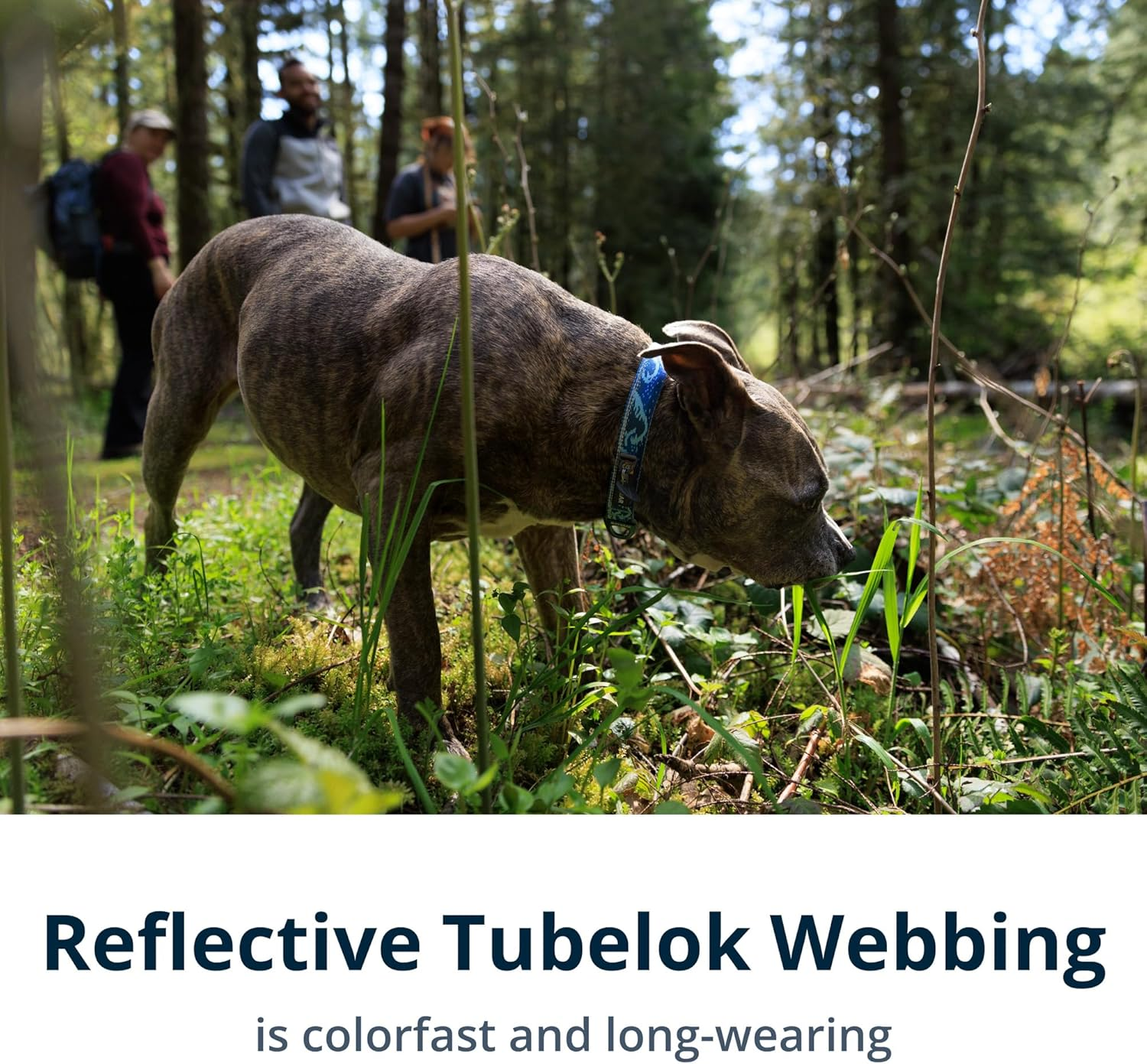 RUFFWEAR Crag Dog Collar, Large Dog Collar with Aluminium V-Ring, Adjustable Length, Pet Dog Collar, Comfortable Soft Collar, Premium Animal Collar with Dog Lead Attachment Ring image number 7