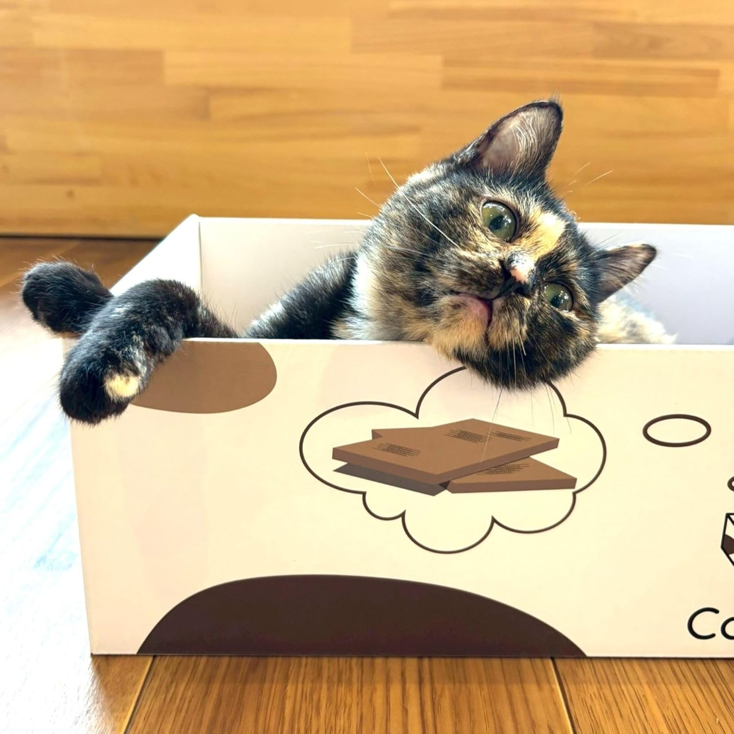 MSBC Cat Claw Sharpener, Box-Shaped, Paper Dust Reducer, 5 Refills, Total of 10 Sides, Economical, Size 16.9 X 9.8 X 5.0 Inches (43 X 25 X 12.7 Cm)