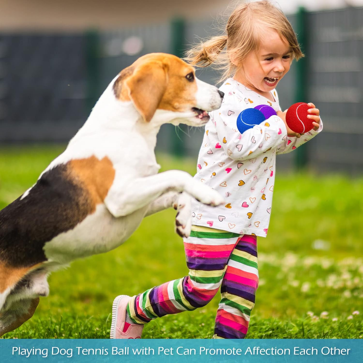 Yunsailing 24 Pack Dog Tennis Balls Pet 2.5'' Colored Mini Tennis Puppy Ball Toys for Large Medium and Small Dogs, Toy Ball for Training, Play Exercise and Fetch 8 Colors image number 2