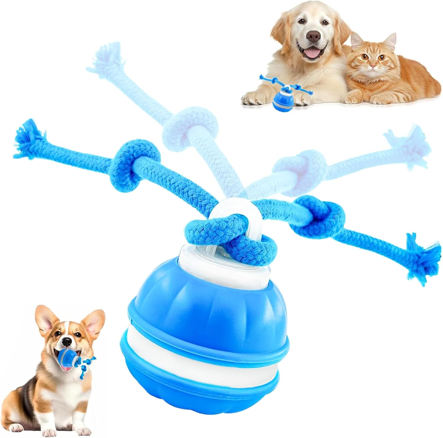 Interactive Dog Toys, Automatic Rolling Ball, Squeak Dog Toy, Touch Activated, USB Rechargeable Dog Ball Chew Toy with Fun Rope for Small/Medium/Large Dog Cat Indoor/Outdoor Boredom Enrichment