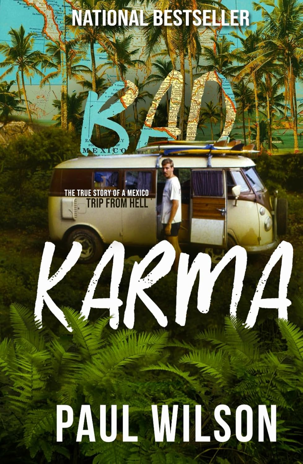 BAD KARMA: the True Story of a Mexico Trip from Hell image number 2