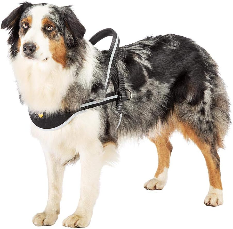 Ferplast Ergocomfort Nordic 2 Dog Harness, 58 X 67 X 82 Cm image number 6