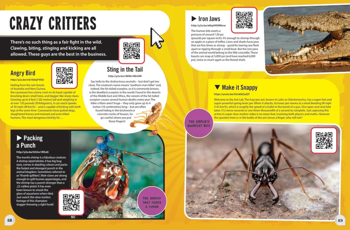 Youtube World Records 2025: the Internet'S Greatest Record-Breaking Feats image number 5