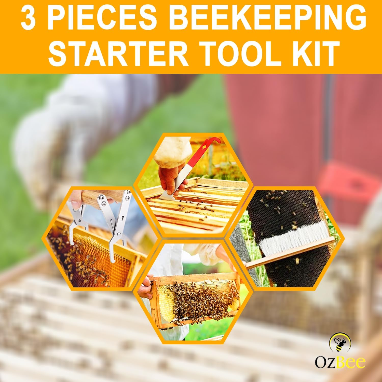 OZBEE 3Pcs Bee Hive Tools for Beekeepers, Stainless Steel J Hook Frame Lifter & Scraper, Bee Hive Frame Grip Holder Lifter, Beekeeping Brush with Wooden Handle, Flow Hive Beekeeping Accessories image number 1