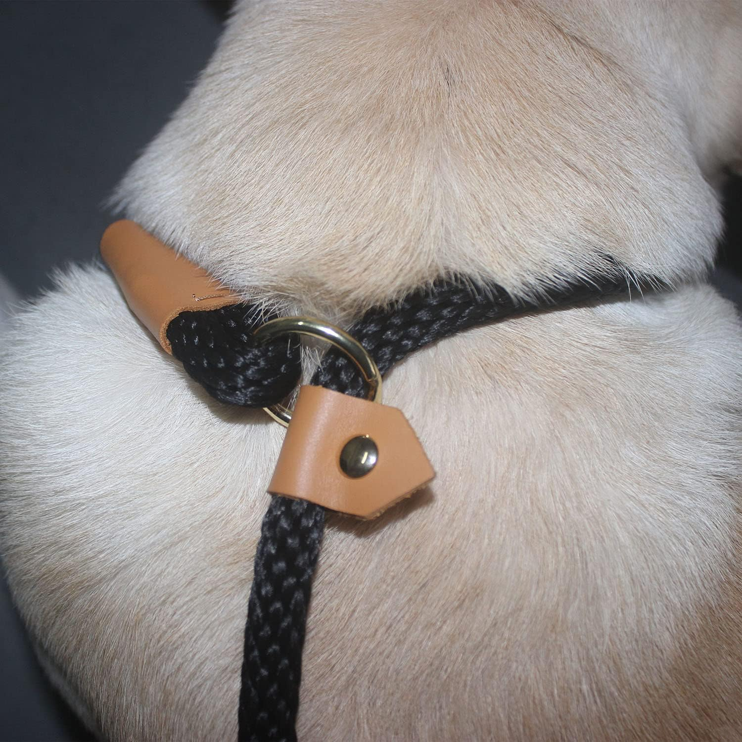 Slip Leads for Dogs 6FT, Checkcord Rope Slip Leash, No Pull Dog Rope Slip Leash, Easy to Use Leash Collar Combo Black - Green image number 7