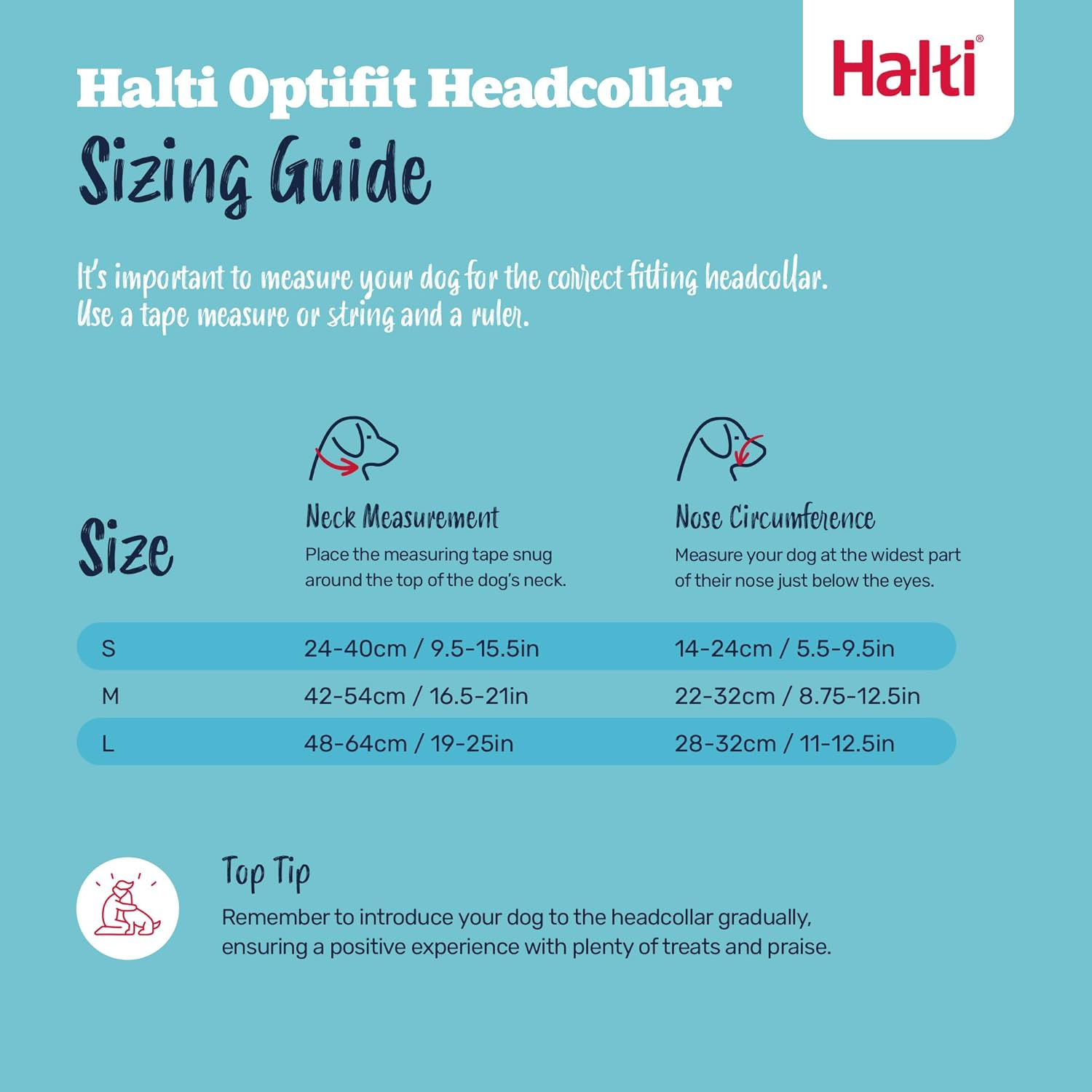 The Company of Animals 12520A Halti Optifit Headcollar for Dogs, Black/Red, Medium image number 2