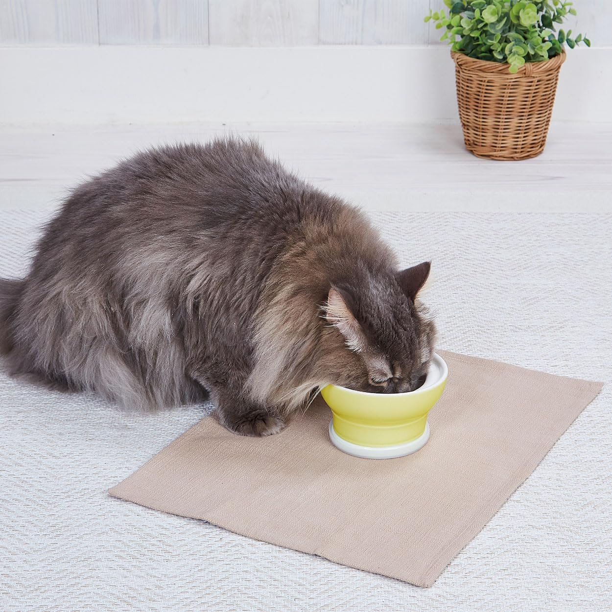 Petio Necoco Cat Dish, Easy to Eat, Stemware for Dry Food image number 1