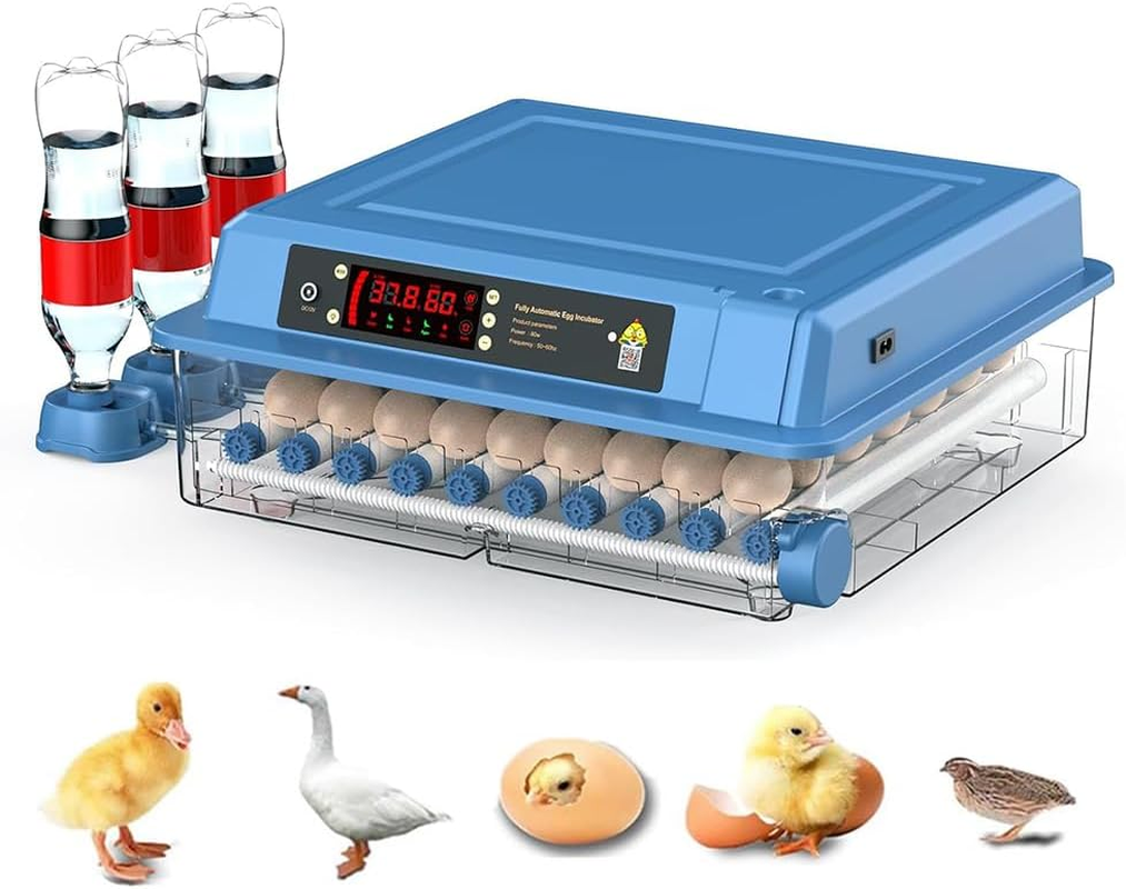 CHAOFLIGHT Eggs Incubator,64 Poultry Egg Hatchery Brooder Automatic Egg Turner with Temperature Control & Digital Touch Screen for Hatching Parrot,Birds,Chickens,Ducks,Quails (64 Eggs)