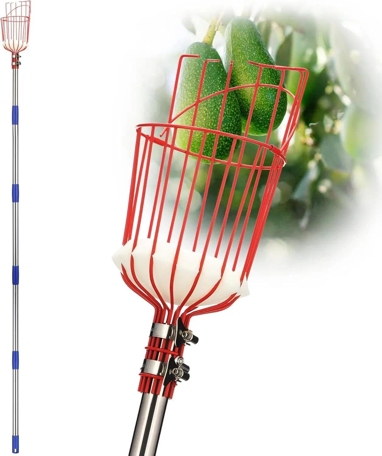 Fruit Picker Pole with Adjustable Length and Harvesting Basket for High Branches, Apple Picker, Mango Picker, Garden Harvesting Tool with 360 Rotating Head - Tisuff image number 4