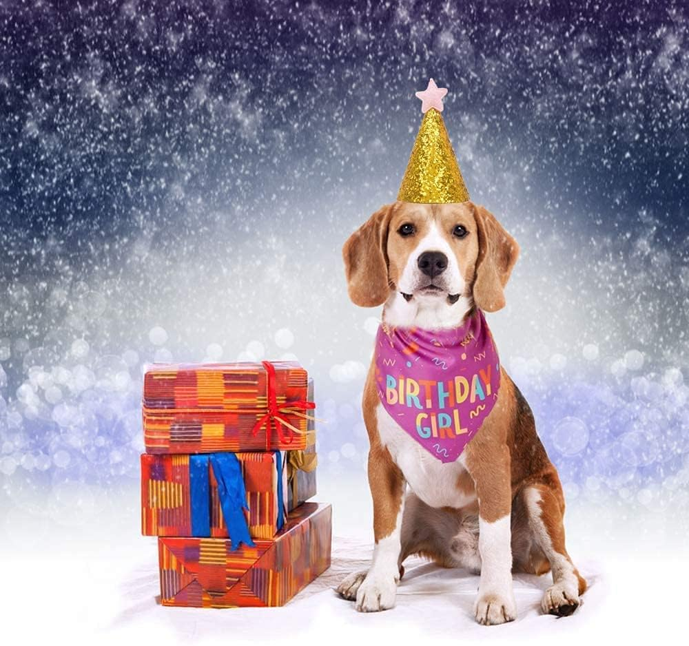 Dog Birthday Bandanas, Dog Birthday Party Supplies, Triangle Reversible Pet Scarf with Cute Biting Bone Scarf Accessory for Boy and Girl, Premium Durable Fabric image number 6