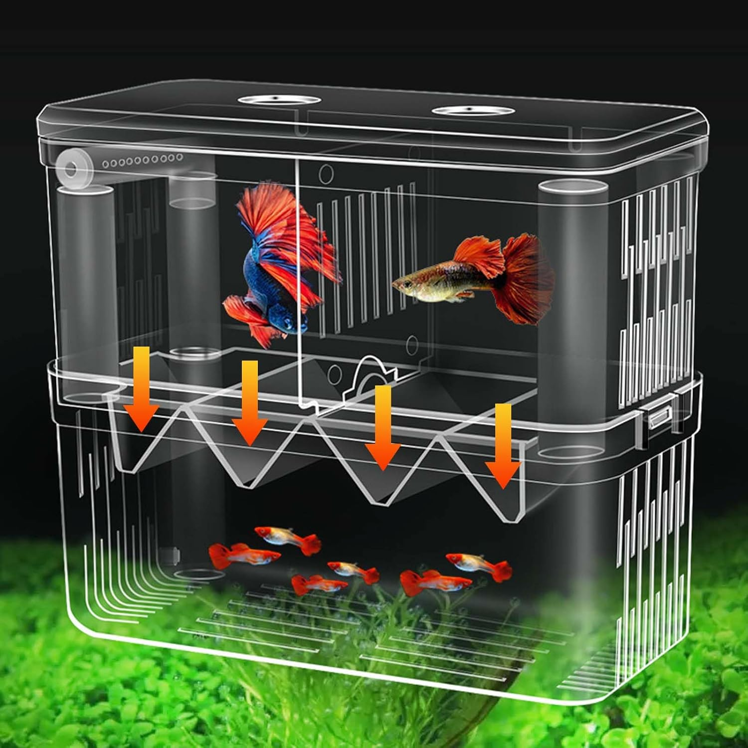 SUSOO Large 4 Hole Aquarium Fish Breeding Box, Safe 2Mm Baby Fish Hatchery Box with Removable Double Isolation Divider Hatching, Dual Feeding Holes and Extra Aeration Pipe Design（18.5Cmx9Cmx15.5Cm） image number 1