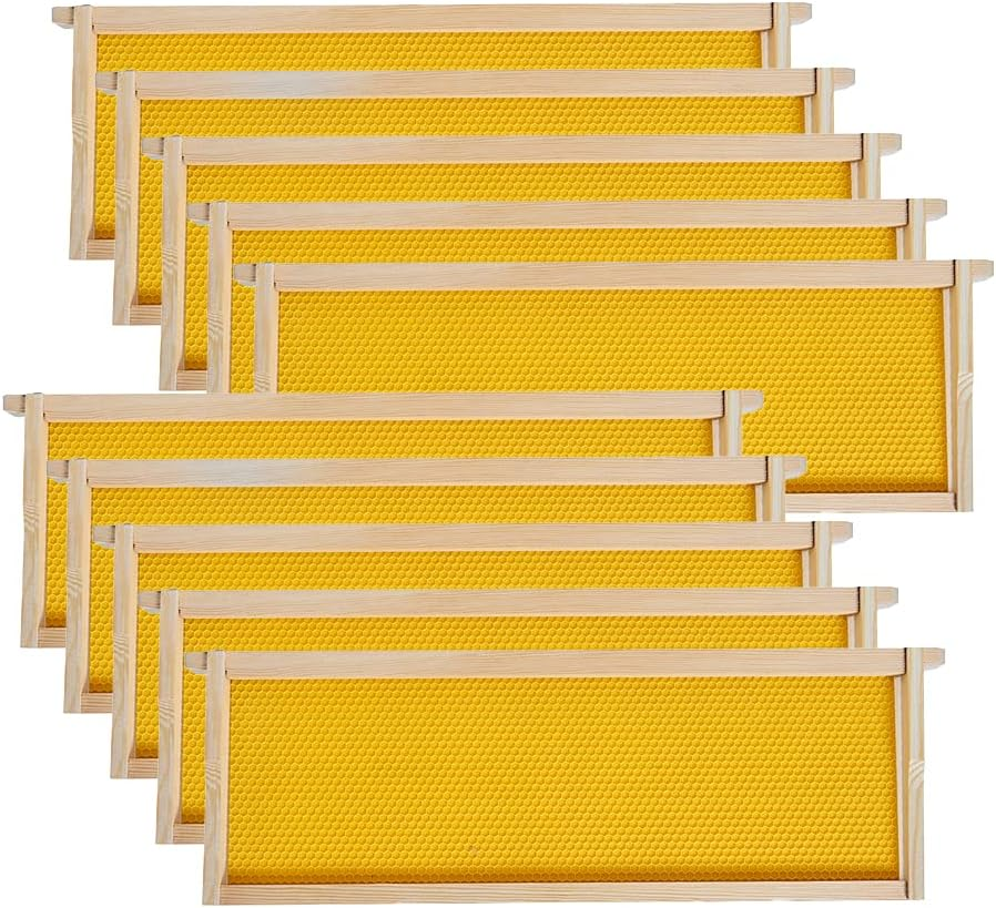 Medium Super Beehive Frames with Wax Foundations,10 Pack Honey Bee Frames with 100% Beeswax Coated Food Grade Foundation Sheets, 6-1/4-Inch (Black)