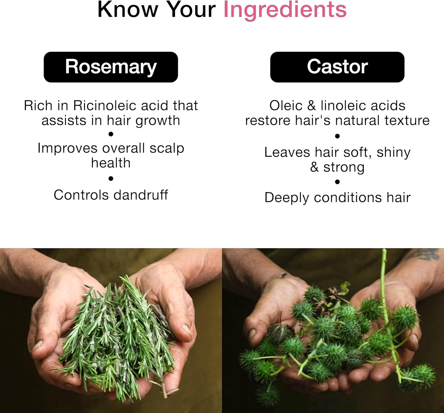 Soulflower Rosemary Castor Oil for Hair Growth, Hair Fall Control, Frizzy Hair - 100% Pure, Natural, Cold Pressed, Preservative Free - 6.7 Fl Oz / 200Ml image number 2