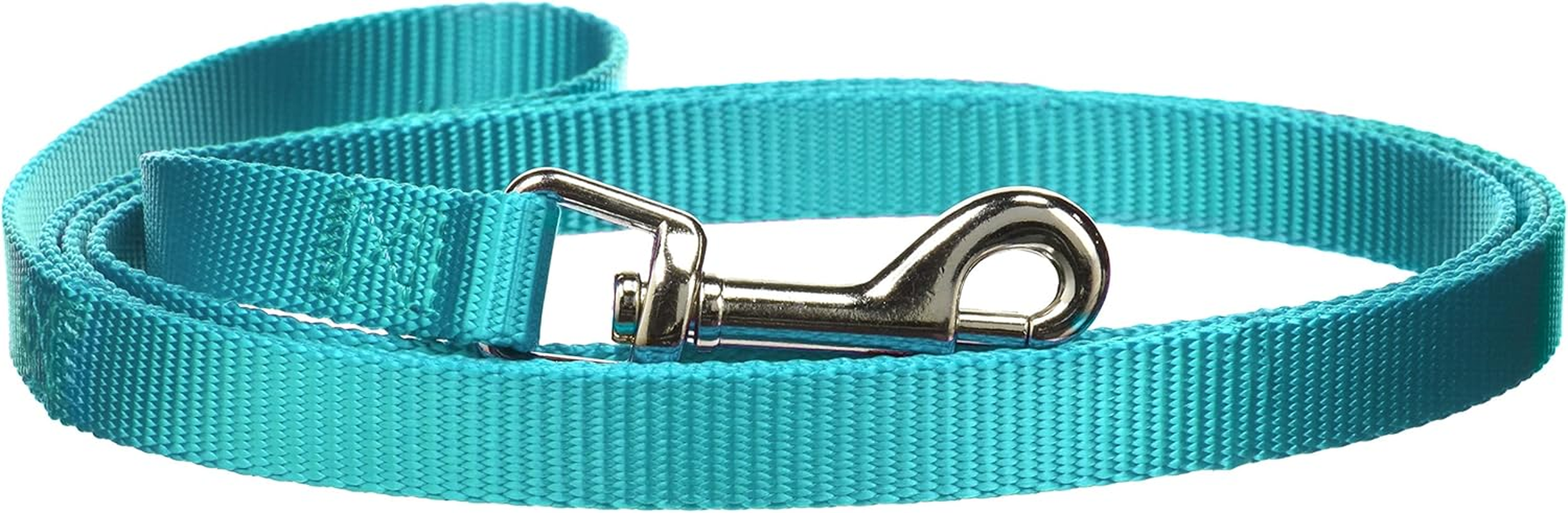 Zack & Zoey Basic Nylon Dog Leash, 4-Feet X 5/8-Inch Lead, Chocolate