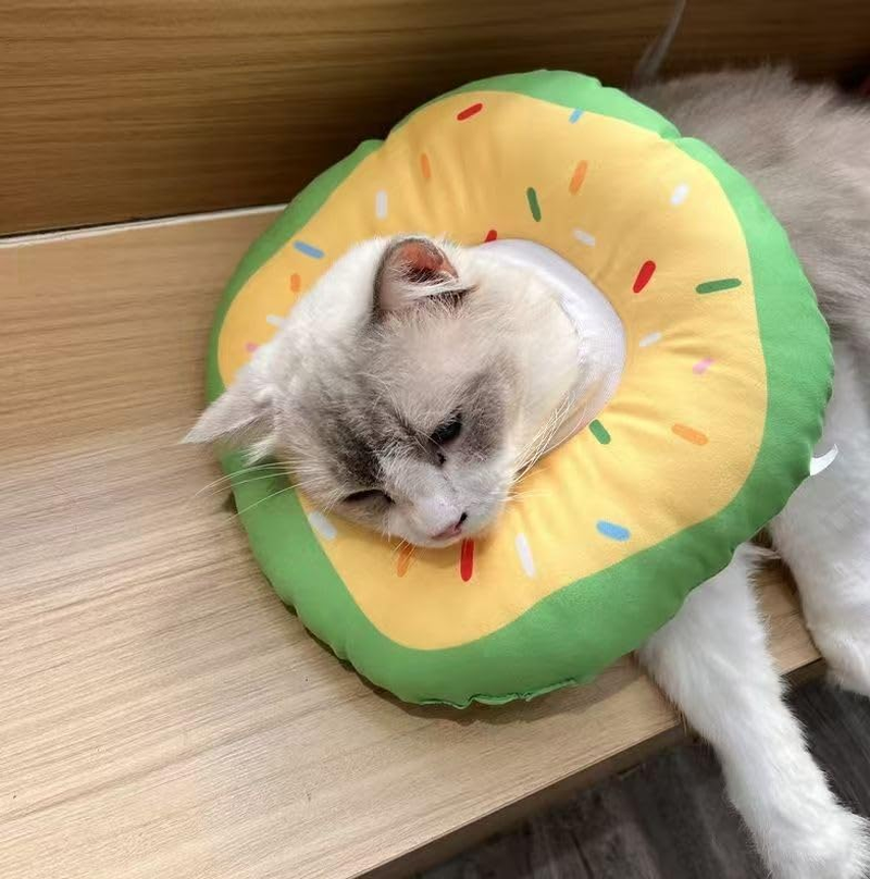 Cat and Small Dog Cone Waterproof, Collar Adjustable Neck Cone after Surgery Recovery Collar Pillow for Small Pets to Stop Licking (Green, L) image number 6