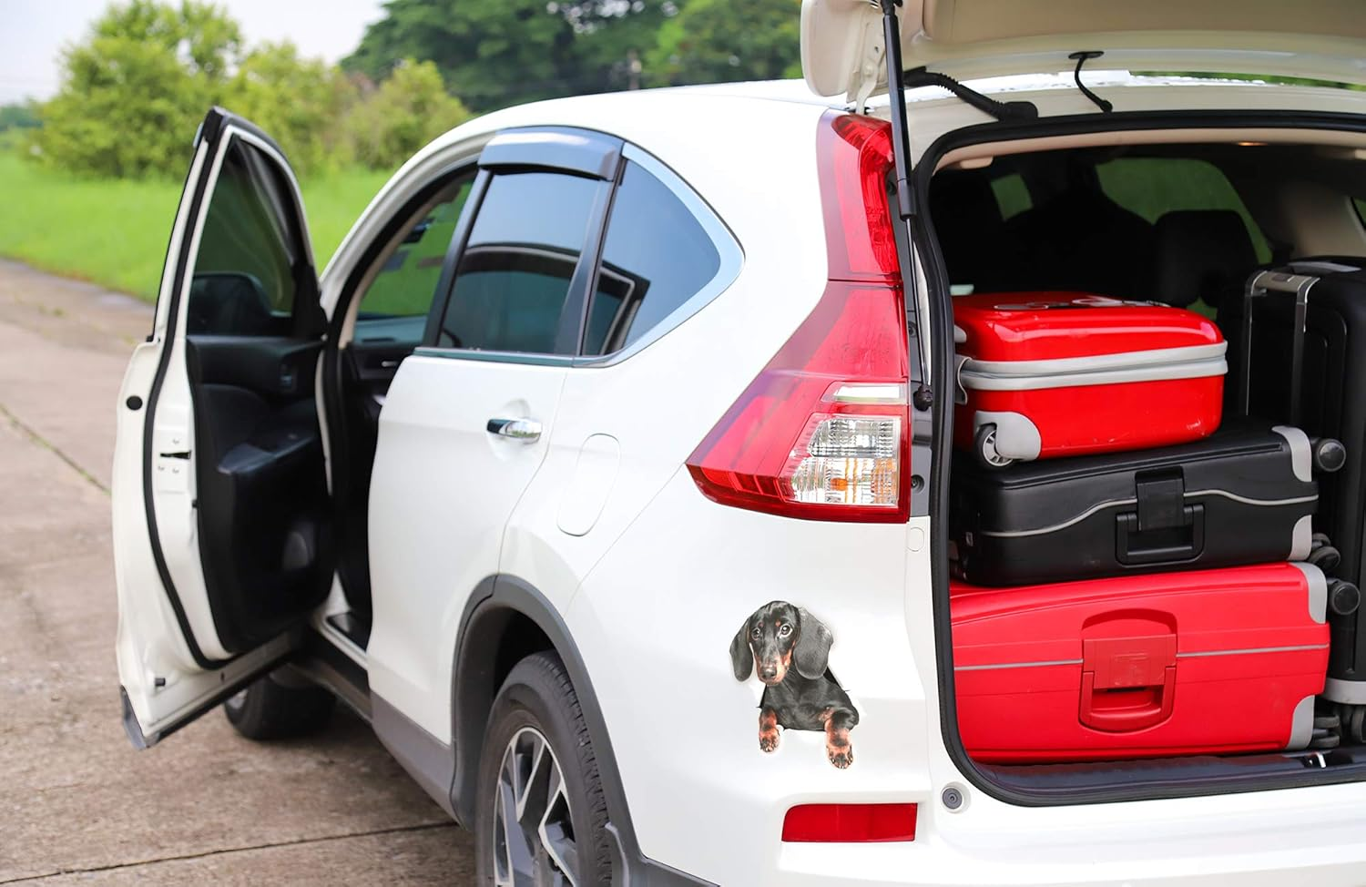 Winston & Bear Dachshund Wall Decals - 2 Pack - Sausage Dog Toilet Sticker - 3D Wiener Dog Car Sticker - Dachshund Lover Gift Pack image number 4