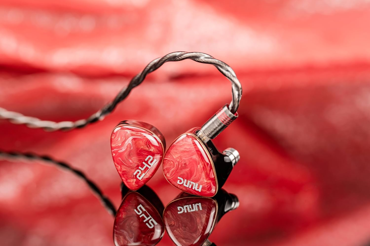 DN 242 image number 4