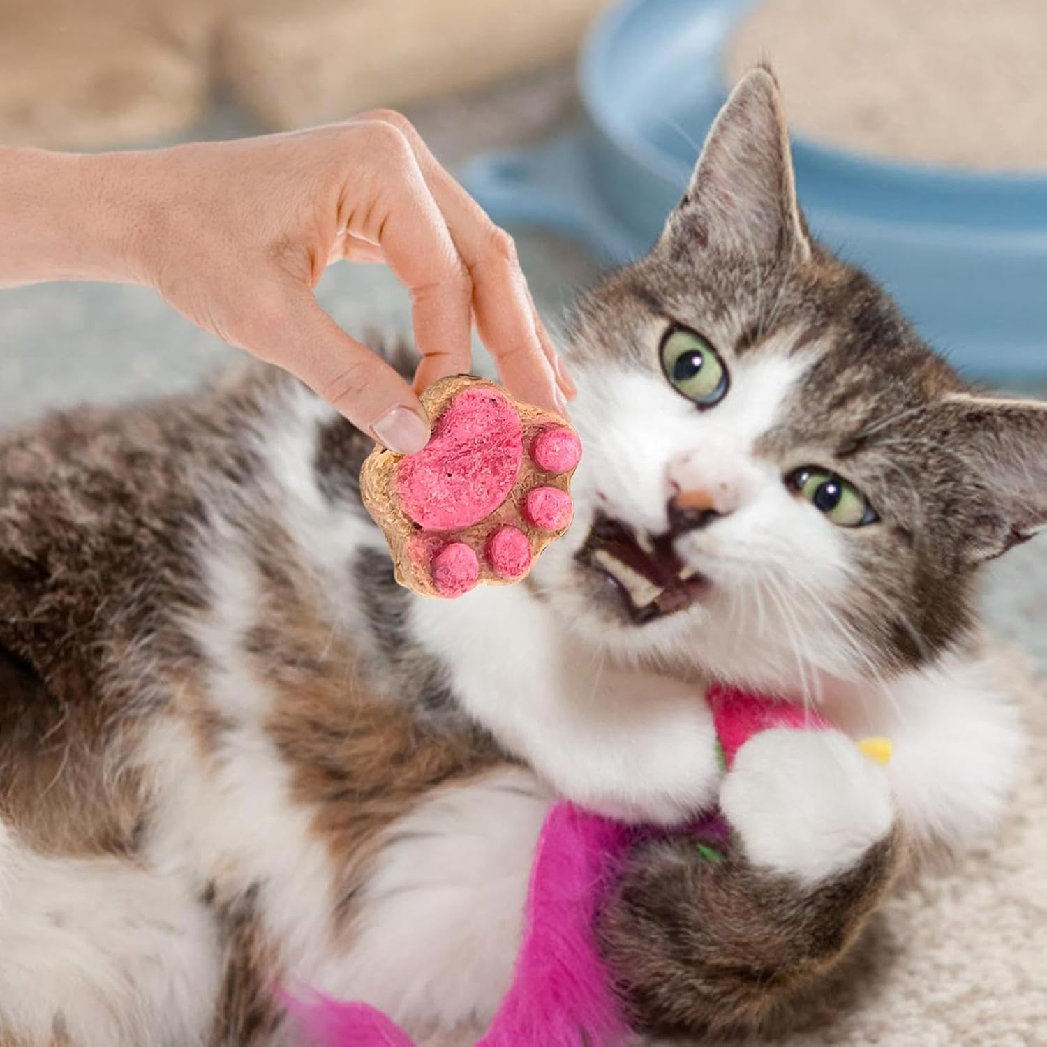 Cat Paw Snacks - Natural Healthy Cat Snacks Treats | Kittens Foods Treat | Snacks Paw Biscuits | Healthy Treats | Shape Food | Biscuits Dry for All Breeds image number 5