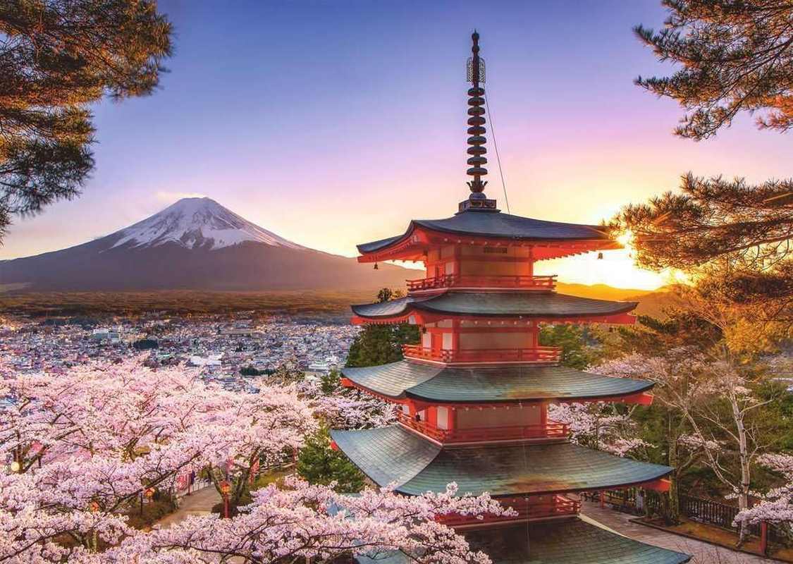 Ravensburger - Mount Fuji Cherry Blossom View 1000P
