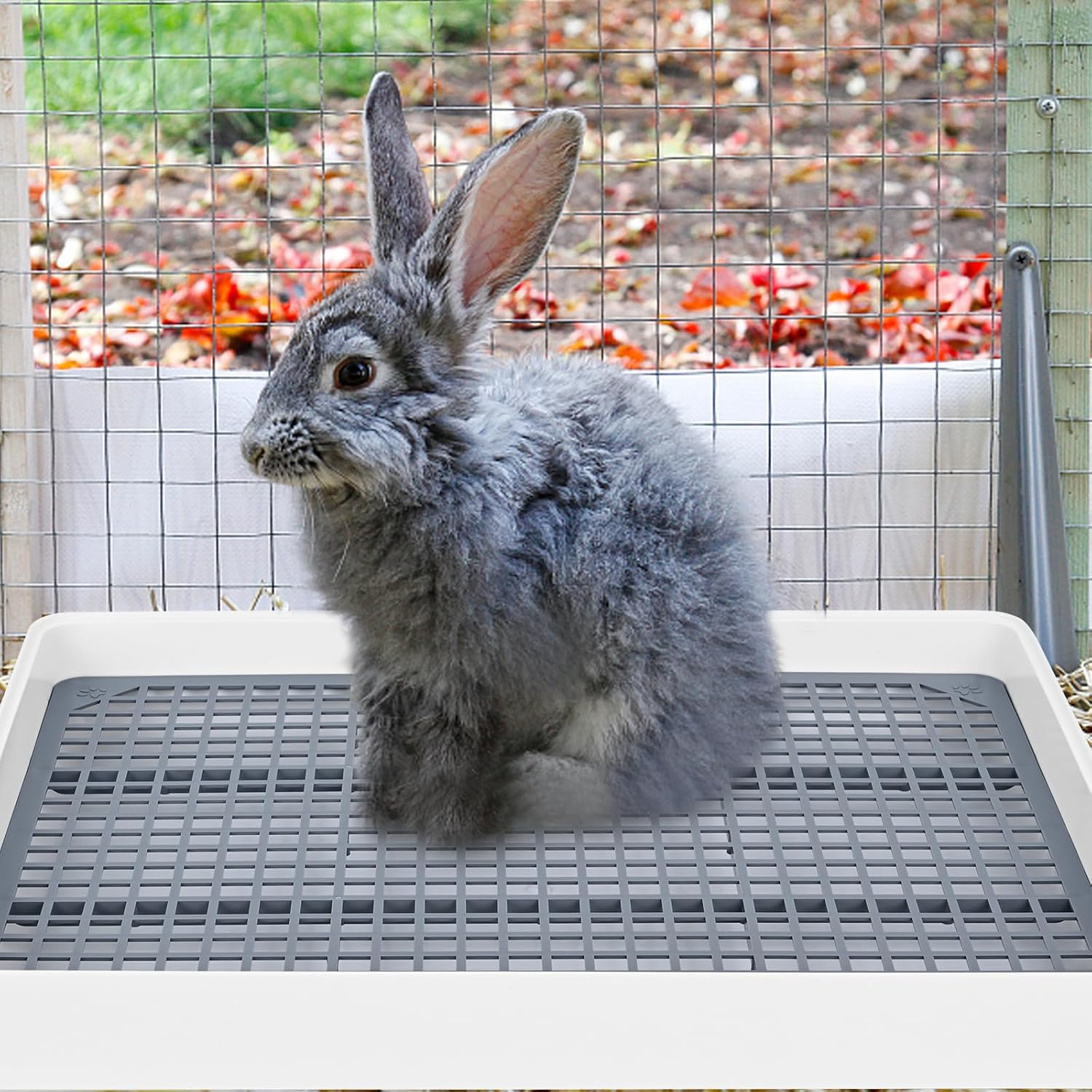 2 Pack Large Rabbit Litter Box with Small Broom and Dustpan Rabbit Litter Pan for Cage Bunny Litter Box Grate Restroom Rabbit Litter Tray Rabbit Toilet - 15 X 12.2 X 2.6 Inches image number 4