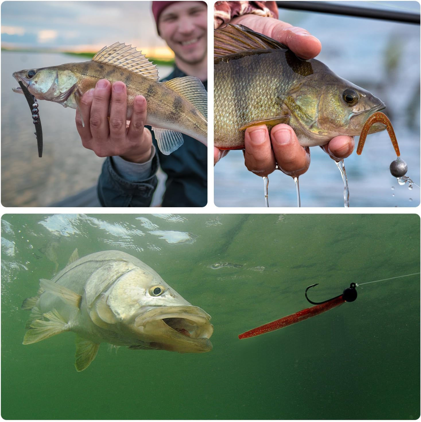 30Pcs Wacky Worm Soft Fishing Lures, 3.94In Bass Fishing Lures Rubber Stick Baits 5 Colors Bass Fishing Lures Soft Plastic Stick Worm for Bass Freshwater Saltwater Fishing image number 3