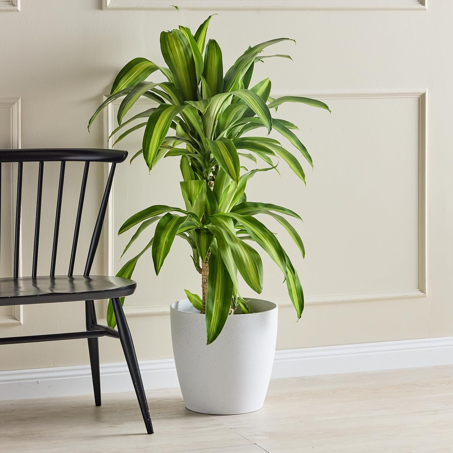 San Remo Pot White Terrazzo 28Cm image number 1