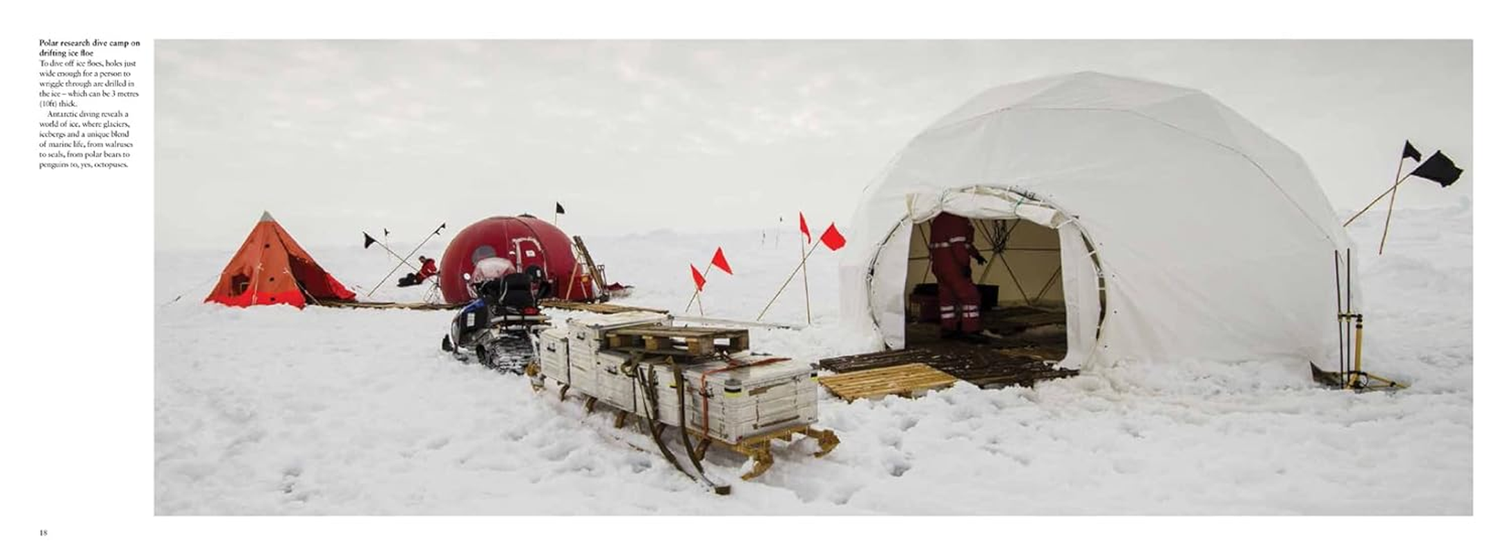 Antarctica: Life on the Frozen Continent image number 4