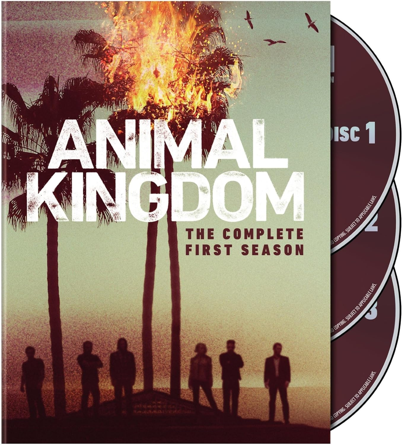 Animal Kingdom: the Complete First Season