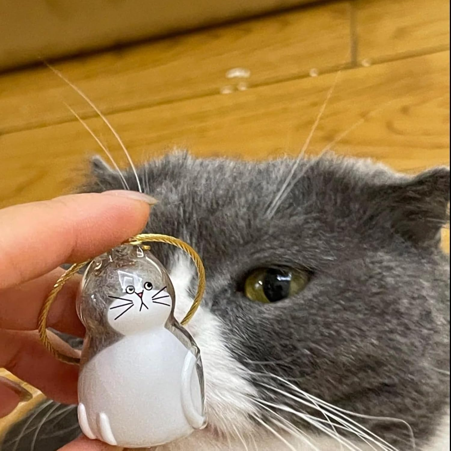 Transparent Cat Hair Storage Box, Cat Hair Storage Bottle, Pet Memorial Keepsake, with Meaningful Sympathy, Clear and Compact Design, 4.5Cm, for Friends & Family