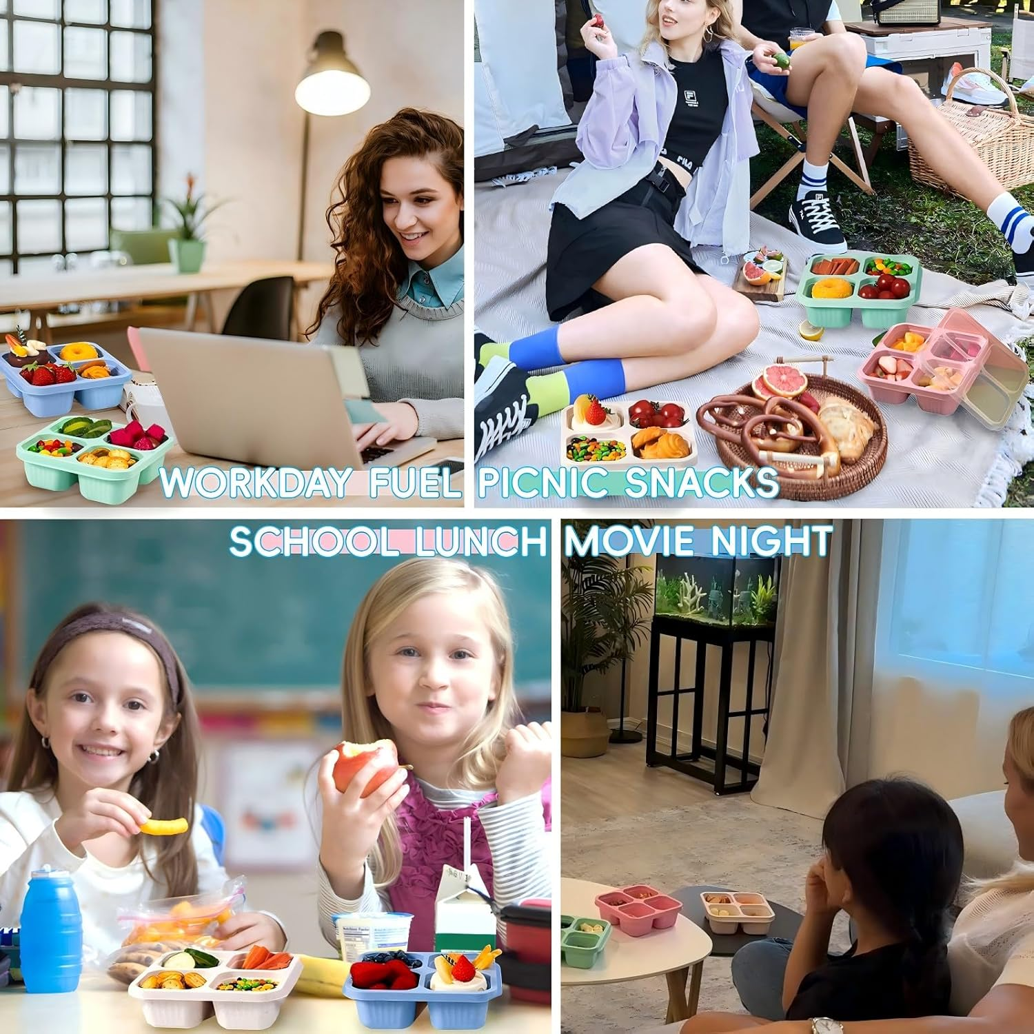 4 Pack Reusable Bento Snack Box, 4 Compartments Meal Prep Lunch Containers for Kids Adults, Containers with Transparent Lids for School, Work and Travel