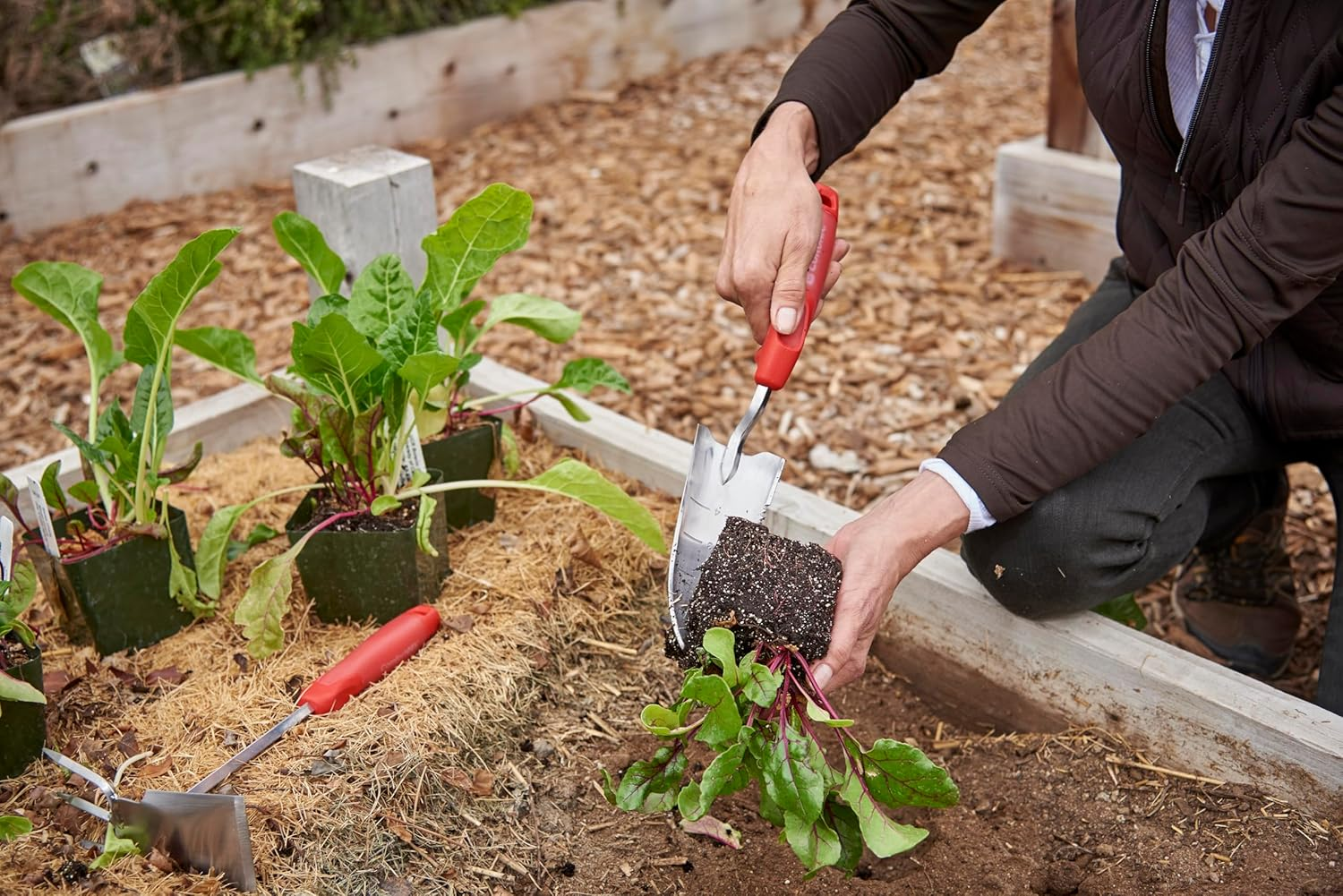 Corona K & S Precision Metals Stainless Steel Comfortgel Transplanter, Red image number 2