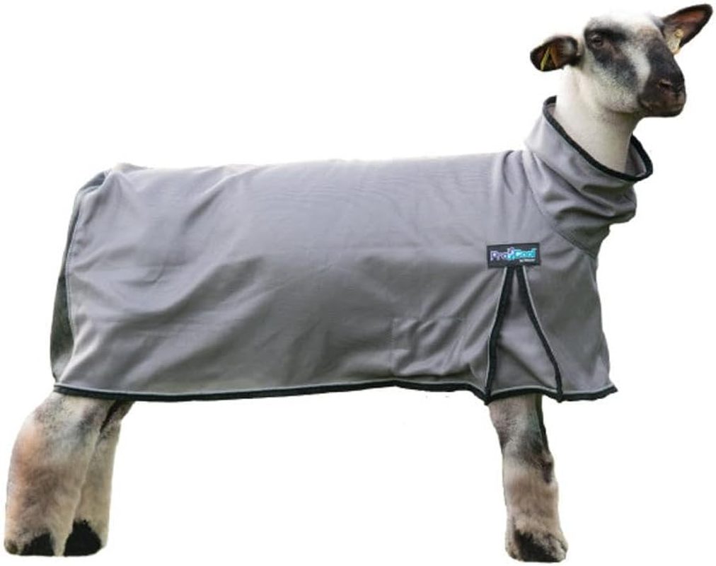 Weaver Leather 35-3521-B6 Procool Mesh Sheep Blanket, Small, Blue
