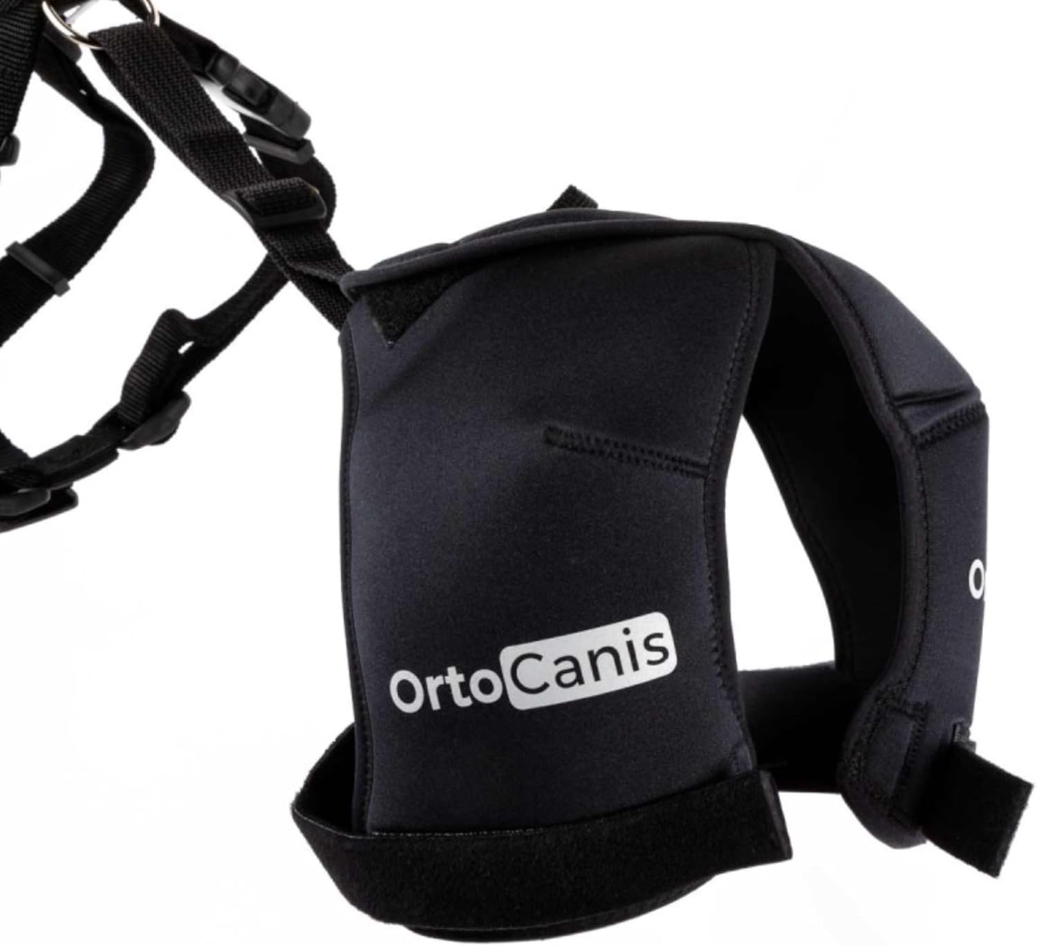 Ortocanis Hip Support for Dogs - Size S image number 6