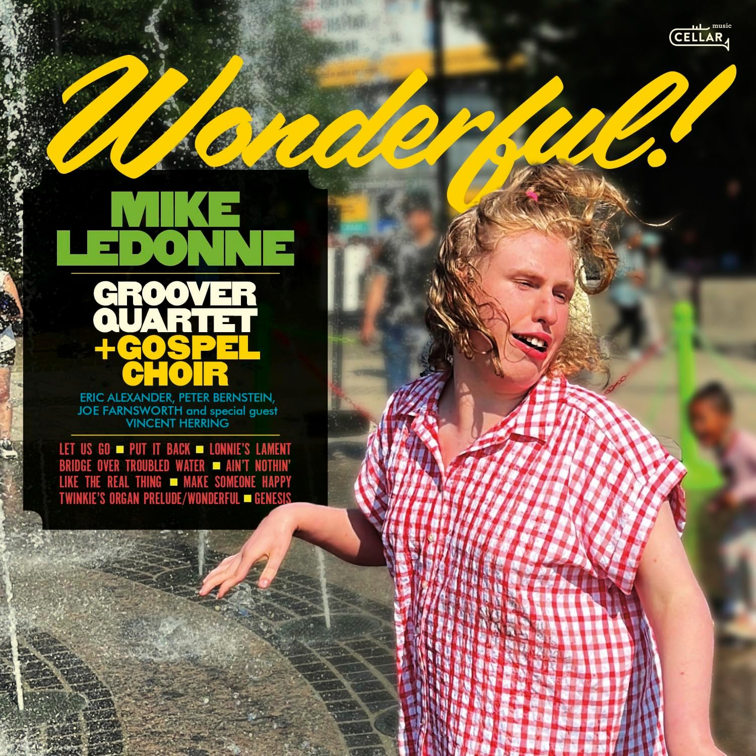 Wonderful - Black Vinyl (LP)