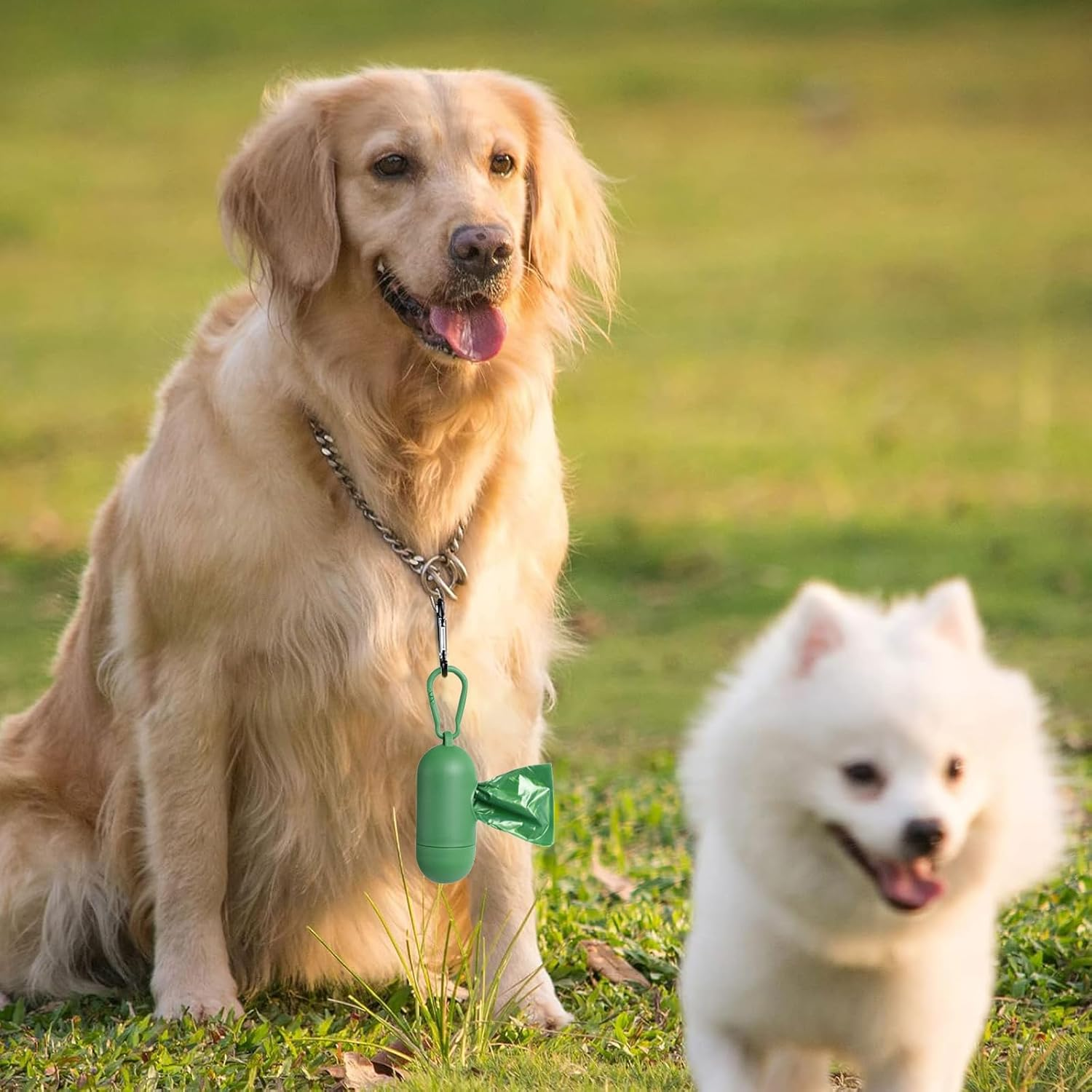 RTRTGS Pack of 150 Dog Waste Bags, Dog Bags, Waste Bags for Dogs - 30 X 21.5 Cm, Polyethylene Material, Portable - Green (10 Rolls, 15 per Roll) image number 4