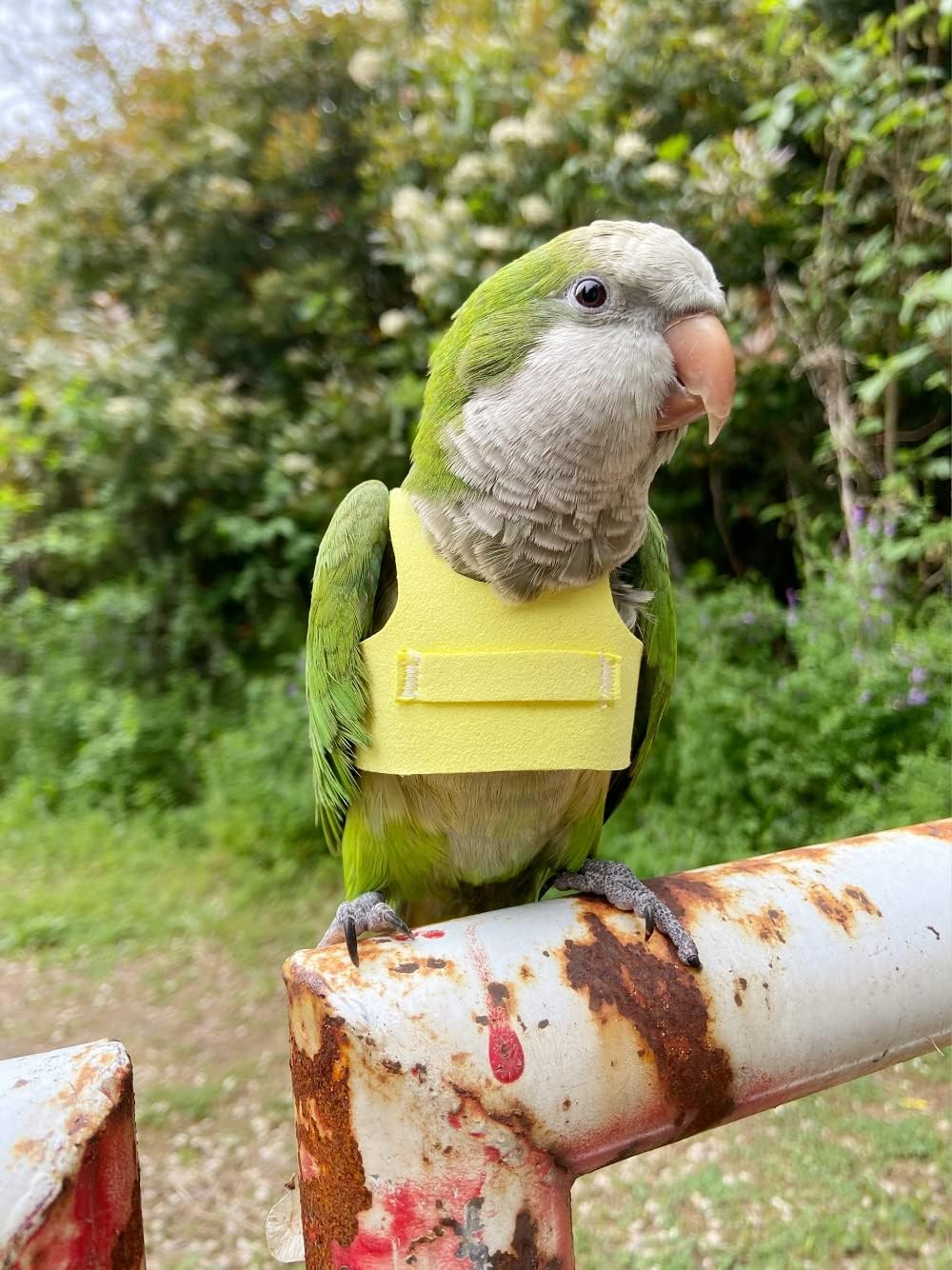 Bird Flight Harness Vest, Parrot Suit with Leash for Parakeets Cockatiels Conures Budgies, Flying Clothes Rope and Handle Outdoor Activities Training, anti Bite (2M, Yellow) image number 5