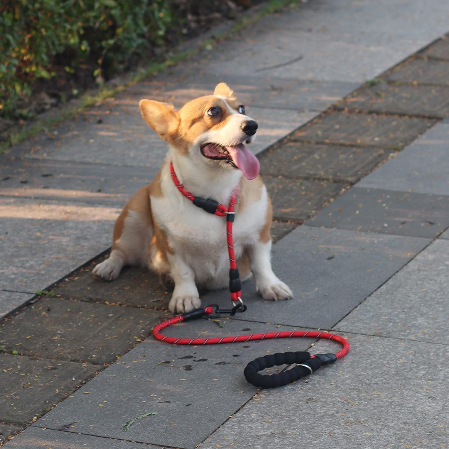 Dog Slip Collar, Reflective Nylon Martingale Chock Collar No-Pull P Collar with Sliding Stopper Training Dog Collar for Small Medium Large Dogs image number 5