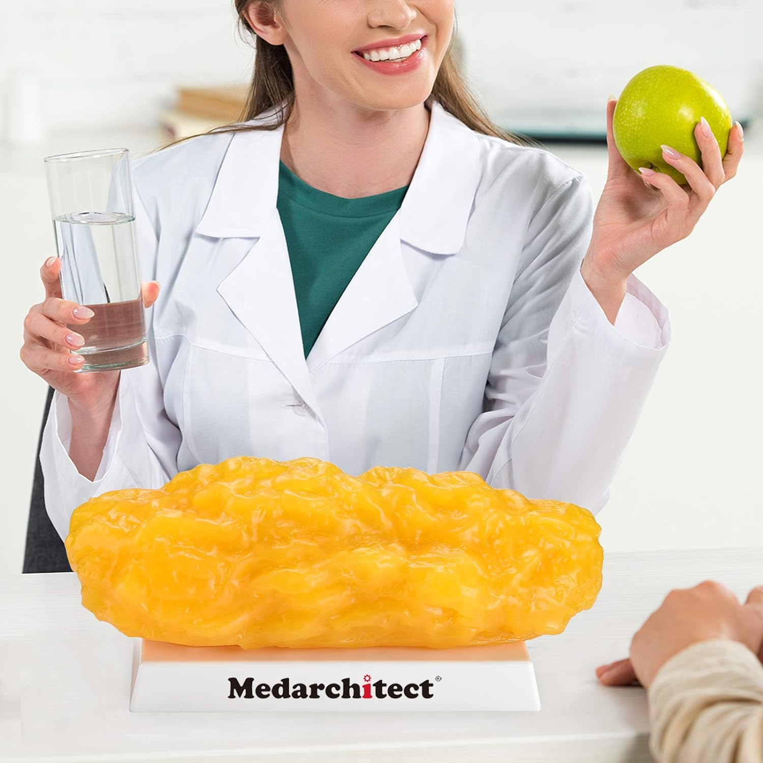 Authentic Human Body Fat Replica - 5 Lb, Keep Fit & Weight Loss Motivation & Reminder, Human Fatty Tissue Demonstration Model for Nutritionist, Anatomical Science Course for Medical Student image number 6