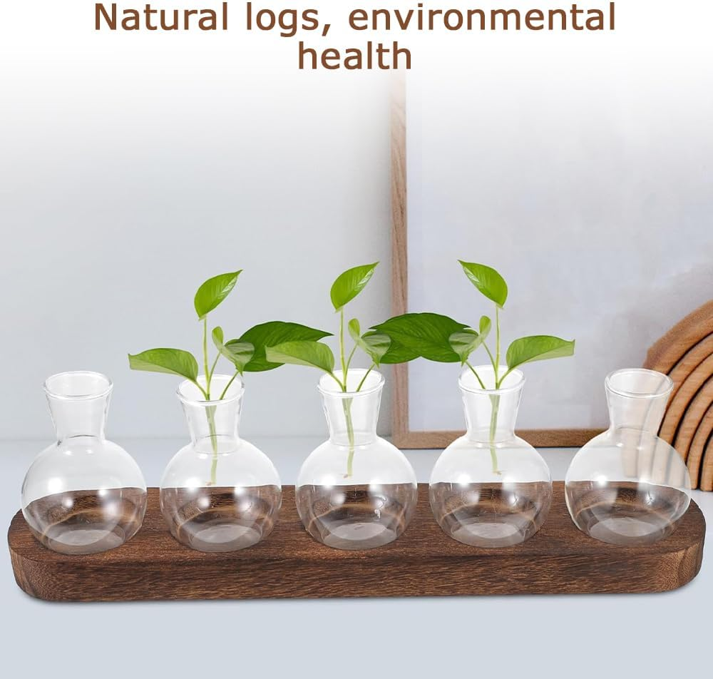 5-Piece Mini Acrylic Vase, Modern Bud Jardiniere Collection, Decorative Tabletop Bottle, with Wooden Holder for Flowers, Centerpieces & Home D&eacute;cor