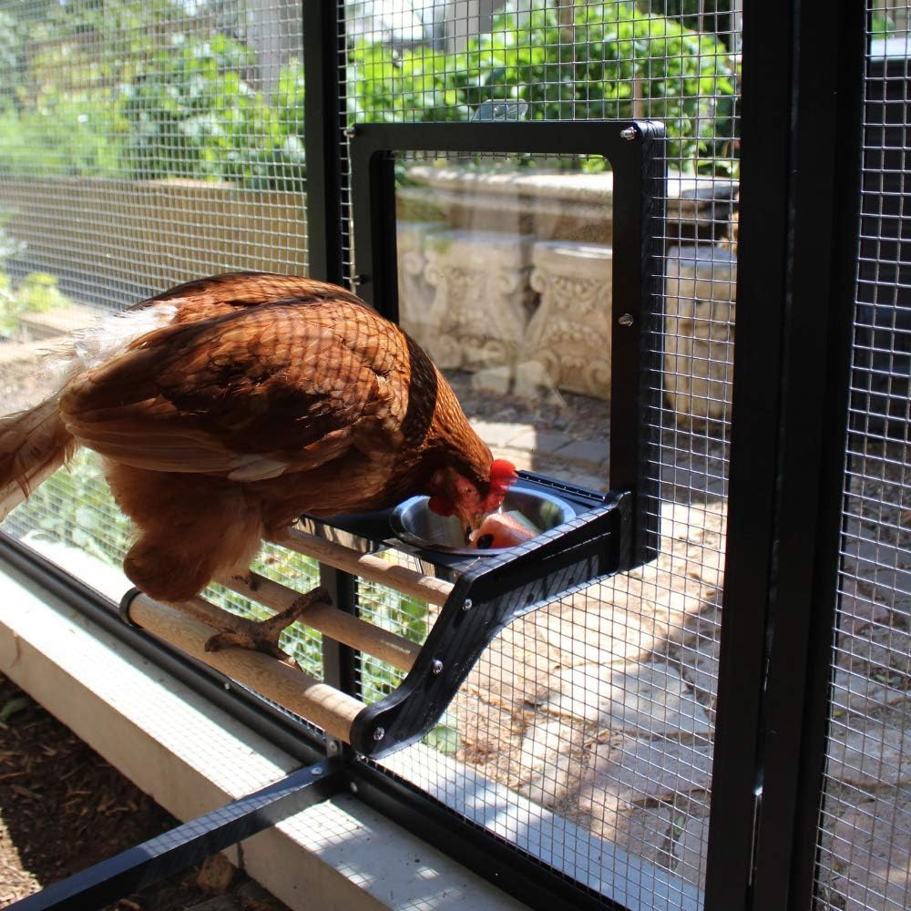 Royal Rooster Stainless Steel Bird Bowls for Cage | Bird Water Dispenser for Cage | 2 Pack Metal Bird Bowls for Parakeet Cockatiel Canary Parrot Budgie Finch Aviary | Bird Water & Seed Dish Feeder image number 3