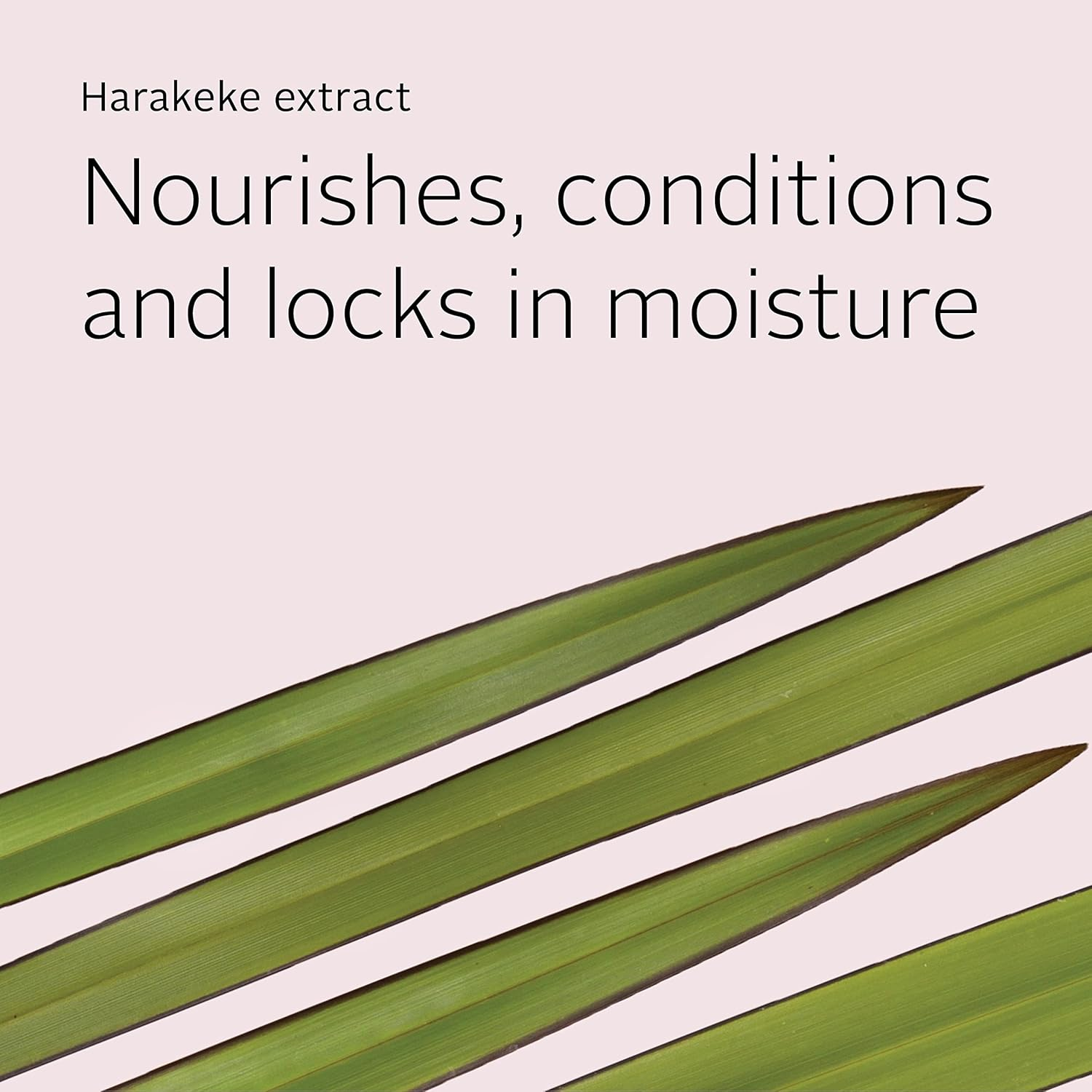 Ecostore Hydrating Conditioner 350Ml, Gently Detangles, Smooths and Controls Frizz, Naturally-Derived Plum & Violet Fragrance, for Soft, Shiny, Healthy Looking Hair, Plant and Mineral-Based. image number 5