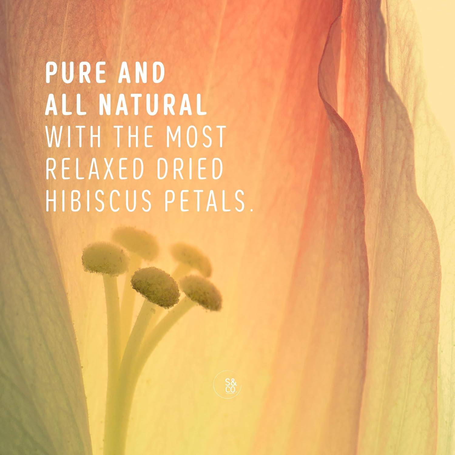 Salts & Co. Epsom and Hibiscus Floral Bath Salts 900 G image number 4