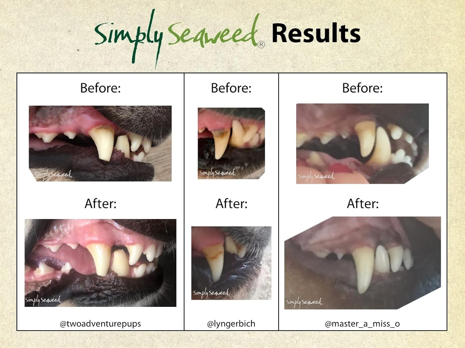 Simply Seaweed Organic Ascophyllum Nodosum 200G image number 2