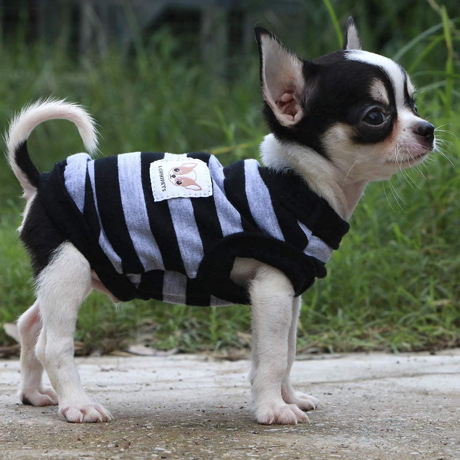 LOPHIPETS 100% Cotton Striped Dog Shirts for Small Dogs Chihuahua Puppy Clothes Tank Vest-Black and Gray Strips/Xxs image number 4