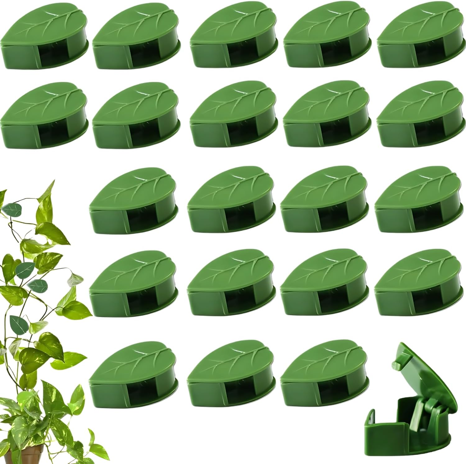 EZONEDEAL 10Pcs Plant Climbing Wall Fixture Clips with Acrylic Adhesive Sticker Plant Fixer Invisible Wall Vines Fixing Clips Self-Adhesive Hook Plant Vine Traction for Indoor Outdoor Decoration image number 1