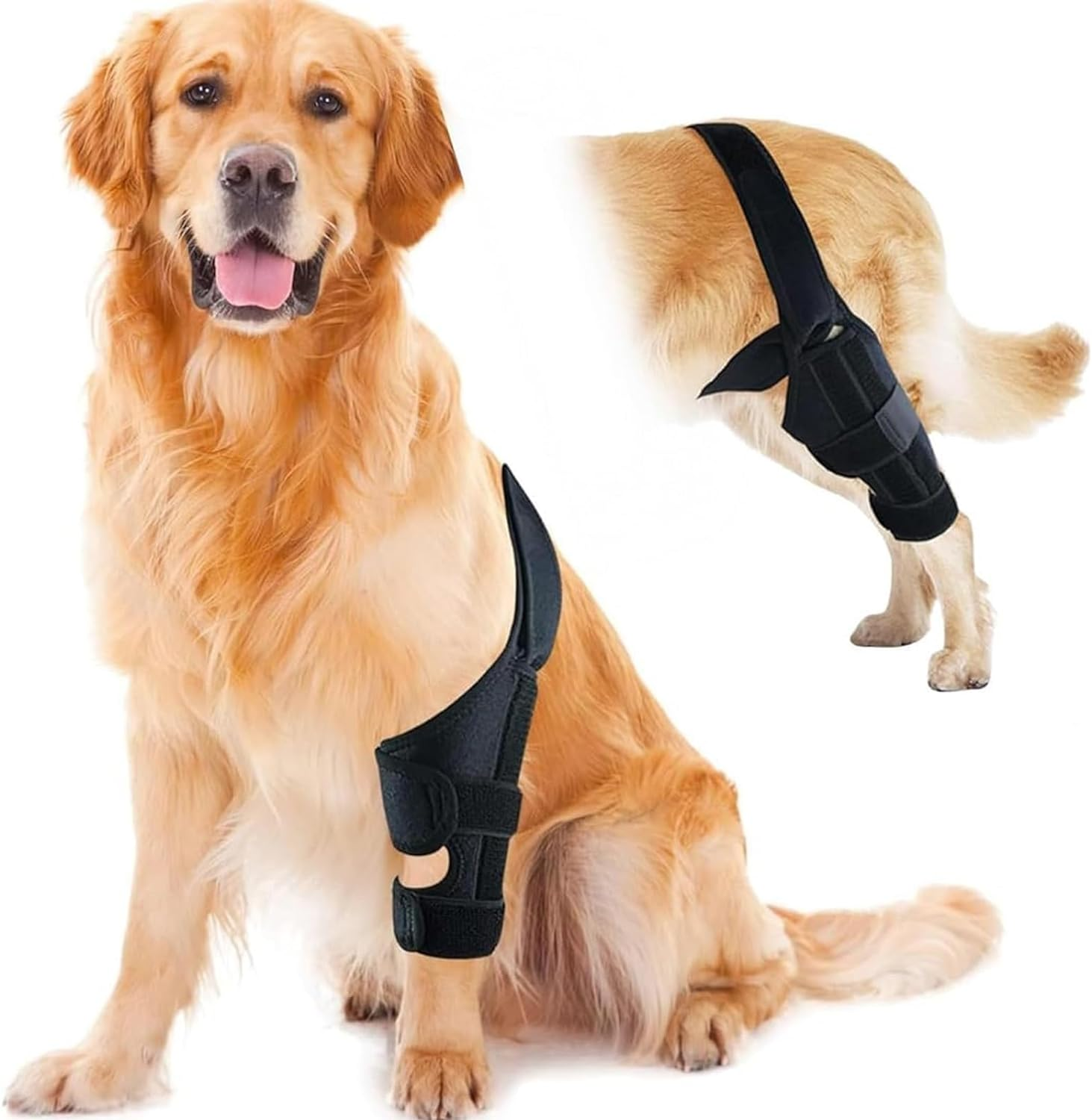 Visuivit Dog Knee Brace for Support with Cruciate Ligament Injury, Arthritis and Knee Cap Dislocation, Better Recovery ACL Brace, Adjustable Rear Leg Braces Dogs, Pet Brace (M, Normal Style)